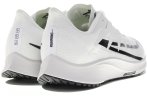 Nike Zoom Rival Fly