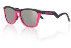 Oakley Frogskins Hybrid Prizm