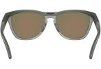 Oakley Frogskins Range Prizm