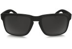 Oakley Holbrook Prizm Polarized