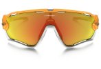 Oakley Gafas Jawbreaker Atomic Polarized