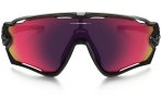 Oakley Gafas Jawbreaker Polarized