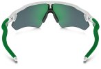 Oakley Gafas Radar EV Path