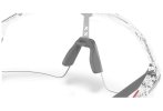 Oakley Stunt Wing