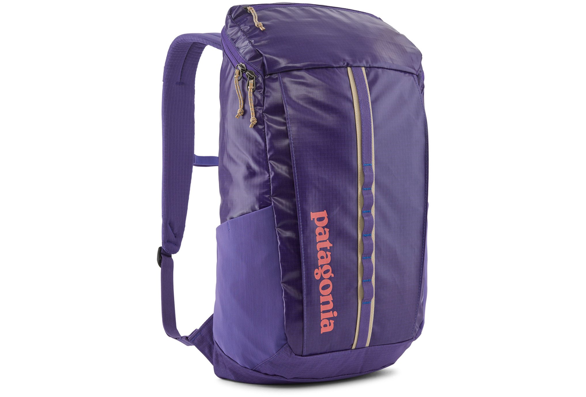 Patagonia Black Hole Pack 25L pas cher