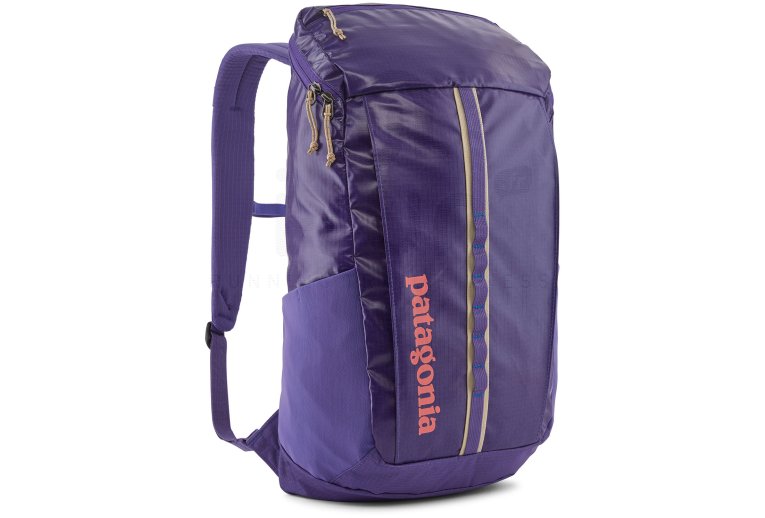 Patagonia Black Hole Pack 25L