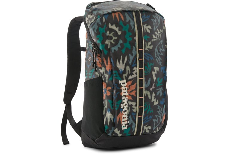 Patagonia Black Hole Pack 25L