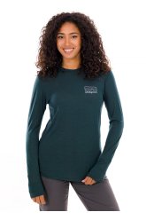 Patagonia Capilene Cool Merino Blend Graphic