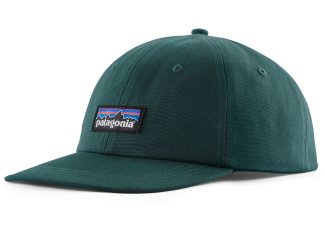 Patagonia P-6 Label Trad