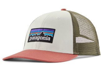 Patagonia P-6 Logo LoPro Trucker
