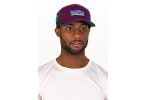 Patagonia P-6 Logo Trucker