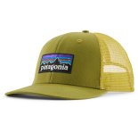 Patagonia P-6 Logo Trucker