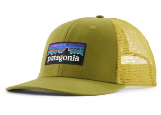 Patagonia P-6 Logo Trucker