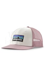 Patagonia P-6 Logo Trucker