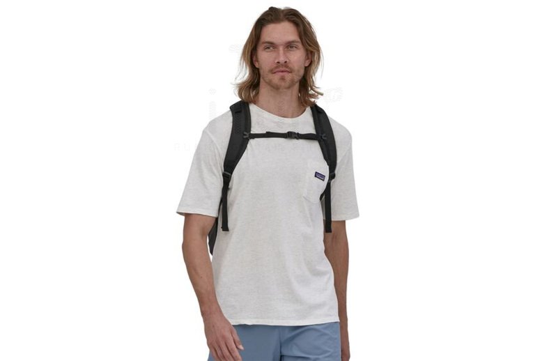 Patagonia Refugio 30L