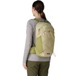 Patagonia Terravia Pack 22L