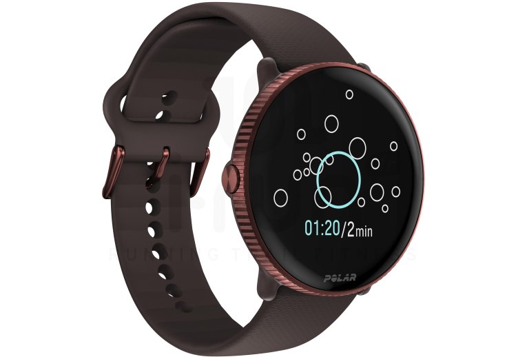 Polar Ignite 3
