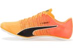 Puma evoSPEED Brush 6 Herren