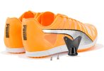 Puma evoSPEED Distance 10 Damen