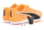 Puma :evoSPEED Distance 11 Herren
