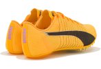 Puma evoSPEED Future 6