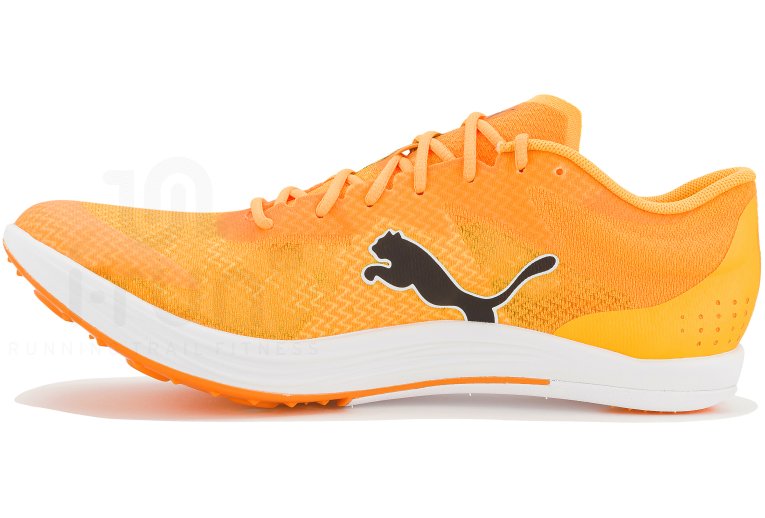 Puma evoSPEED Long Distance Damen