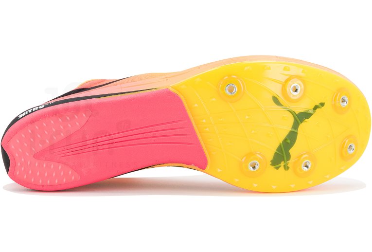 Puma evoSPEED Long Distance Nitro Elite+ 2