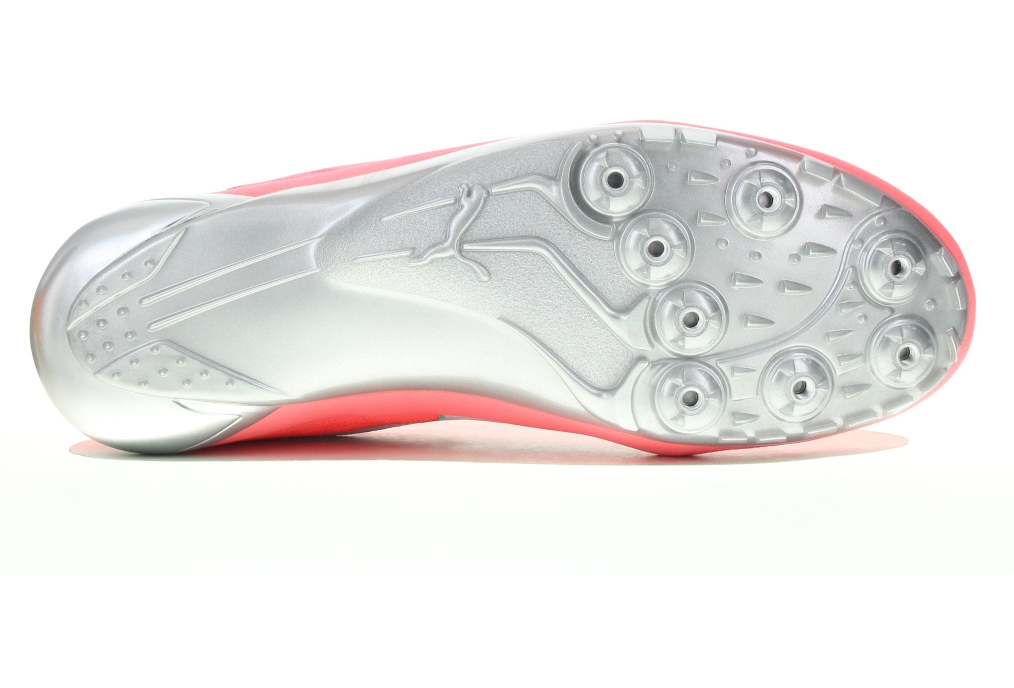 evospeed netfit