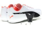 Puma EvoSpeed Sprint 10 Herren