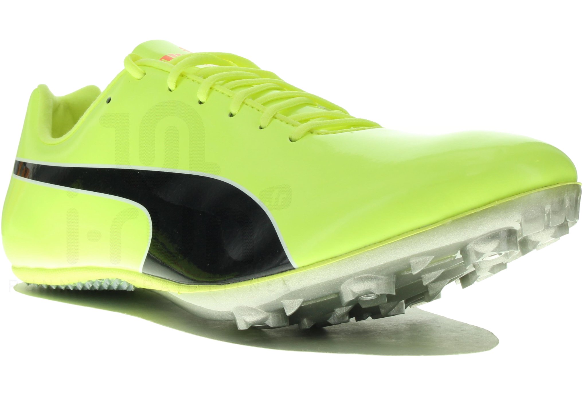 sprint puma
