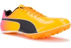 Puma evoSPEED Sprint 14 W