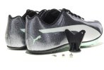 Puma EvoSpeed Sprint 9