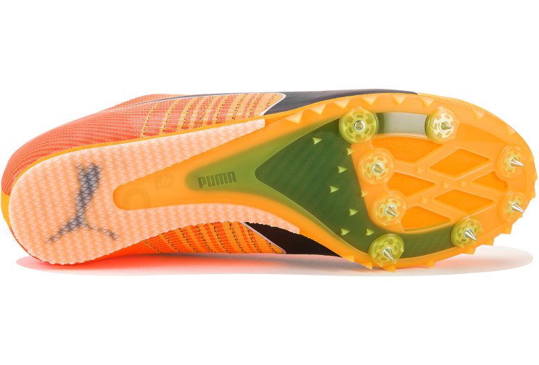 Puma evoSPEED Tokyo Future Jump 4 Damen