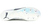 Puma evoSPEED Triple Jump / PV8 Spectra Herren