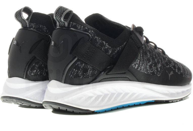 Puma Ignite EvoKnit Lo