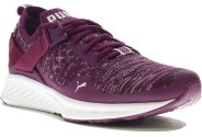 Puma Ignite EvoKnit Lo W