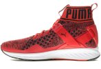 Puma Ignite EvoKnit