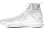 Puma Ignite EvoKnit