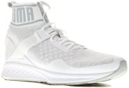Puma Ignite EvoKnit M