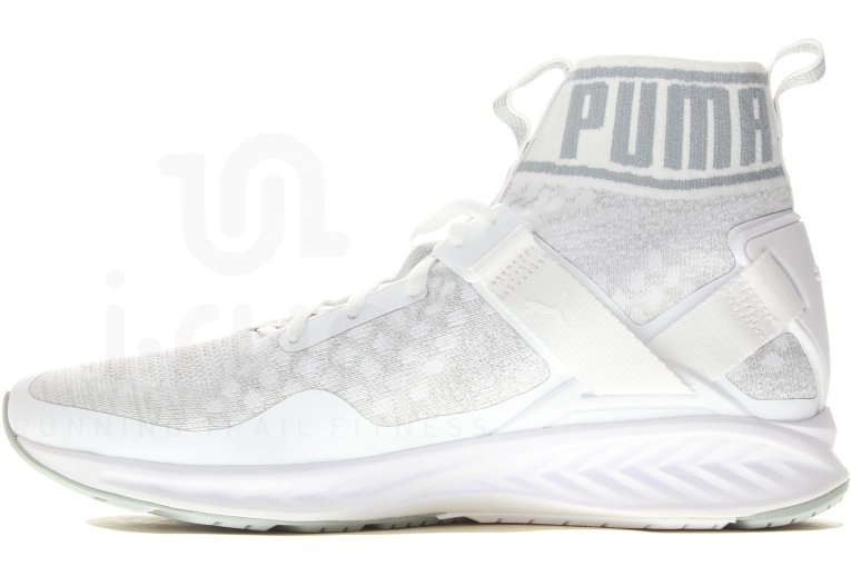 puma ignite evoknit hombre