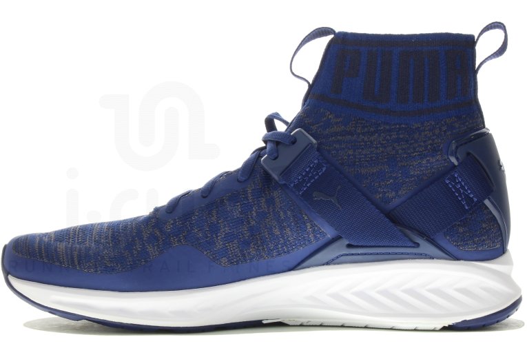 puma ignite evoknit hombre