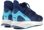 Puma Ignite Netfit