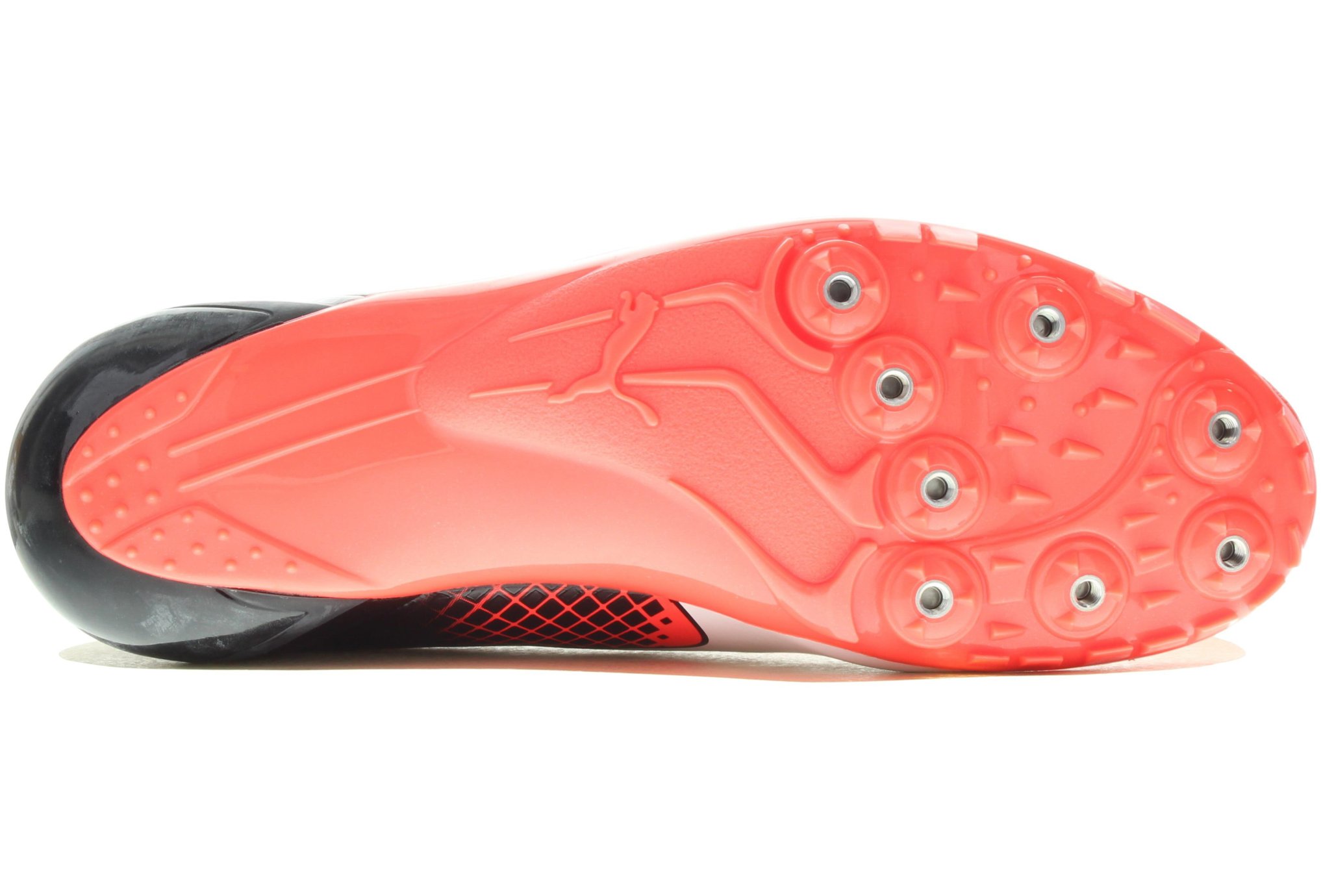 puma usain bolt evospeed