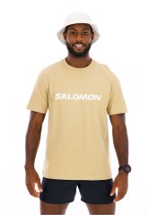 Salomon Big Logo