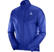 Salomon Fast Wing M