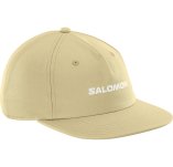 Salomon Logo Flat