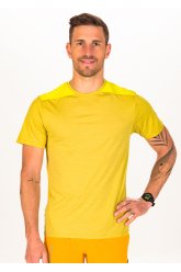 Salomon Outline