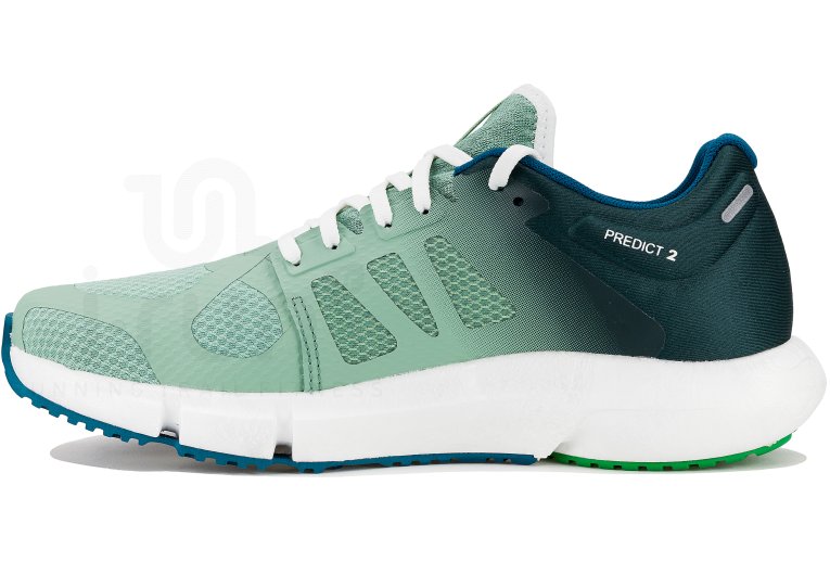 Salomon Predict 2