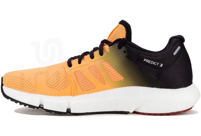 Salomon Predict 2 Herren