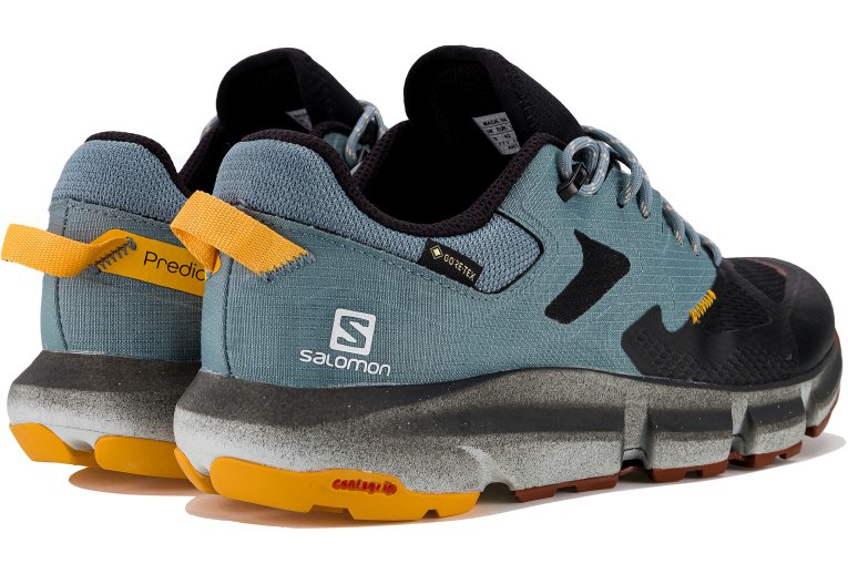 Salomon Predict Hike Gore-Tex Herren